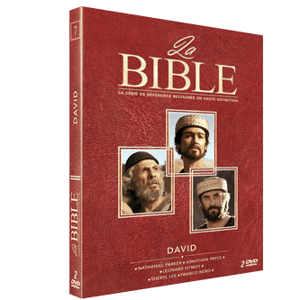 BIBLE ANIMEE - VOLUME 1 - NOE - DAVID ET GOLIATH - JONAS - DVD JEUNESSE -  MUSIQUE DVD - Librairie SILOE